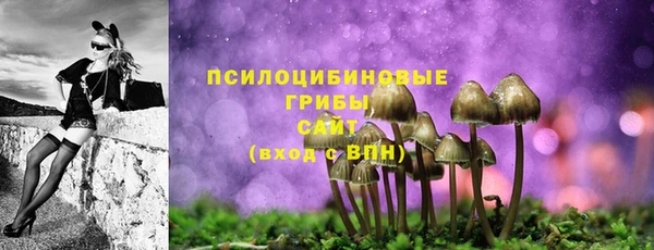 стаф Алексеевка