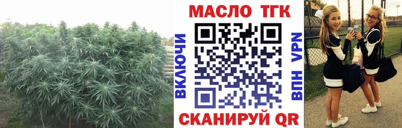 Дистиллят ТГК THC oil  Моздок 