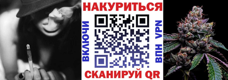Бошки Шишки план Моздок
